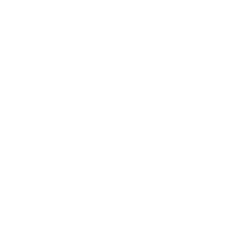 LEDEX — Leonel Delgado